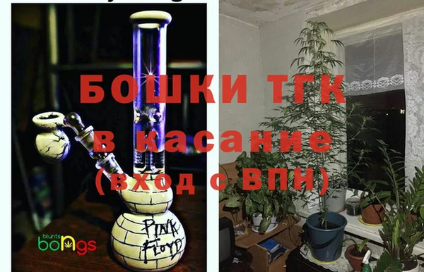 эйфоретик Арсеньев