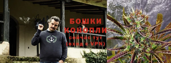 бошки Аркадак