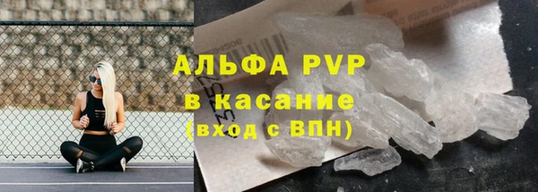 эйфоретик Арсеньев