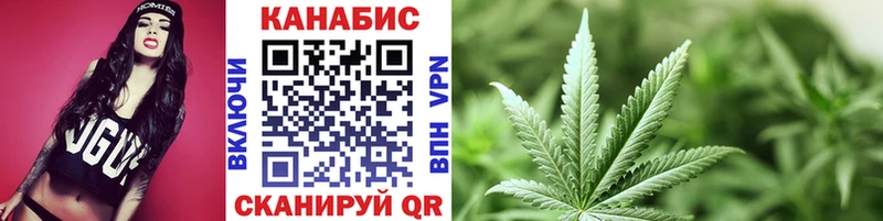 где найти   кракен tor  Бошки марихуана гибрид  Дедовск 